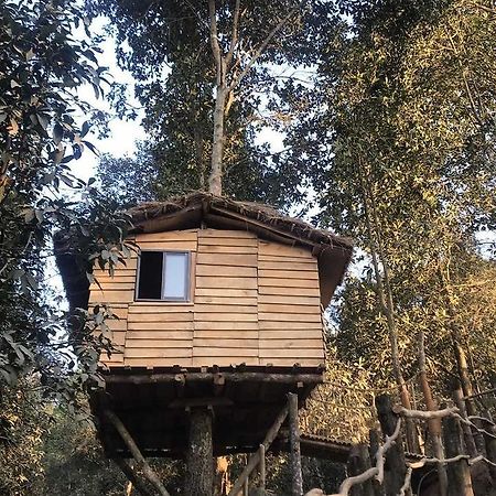 Bunjungle Adventures Otel Katmandu Dış mekan fotoğraf