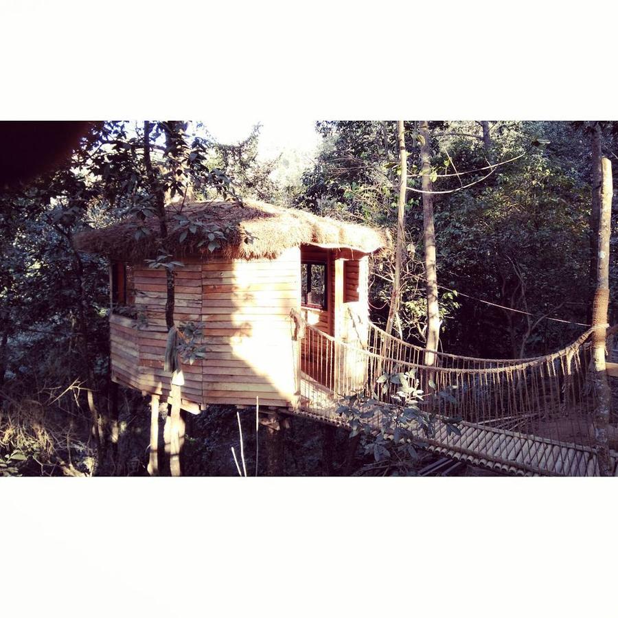 Bunjungle Adventures Otel Katmandu Dış mekan fotoğraf